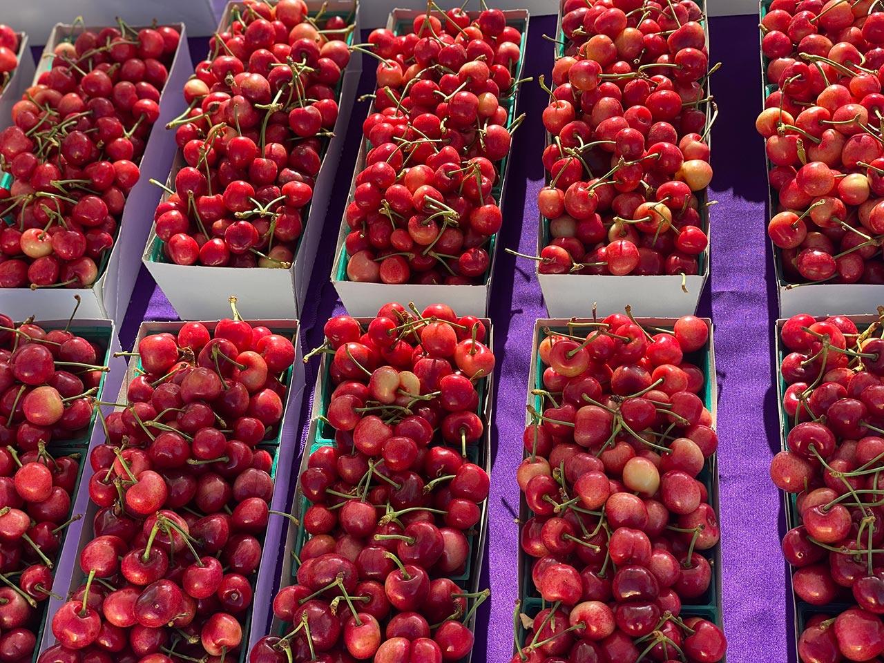 A beautiful table with boxes of fresh picked red cherries