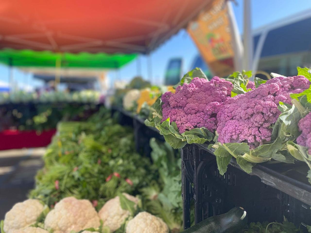 Fresh Finds & Community Vibes: Get Ready for the River Islands Farmers Market!